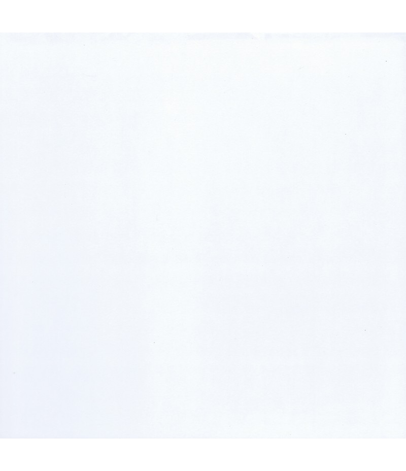 DuraPanel Classic White Gloss Duralock tongue & groove 2400 x 1200 